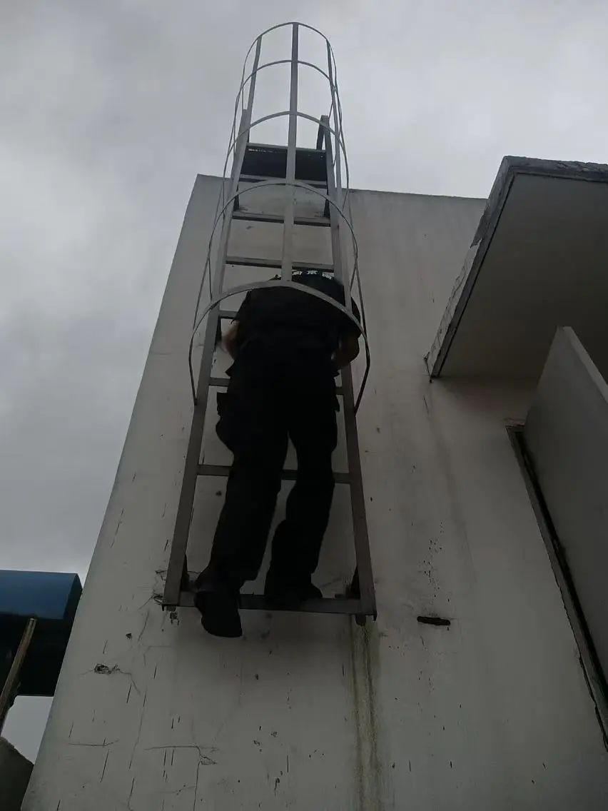 C:/Users/BA/Desktop/風(fēng)雨過后南京保安迅速行動(dòng)，恢復(fù)安“寧”面貌/3.jpg3